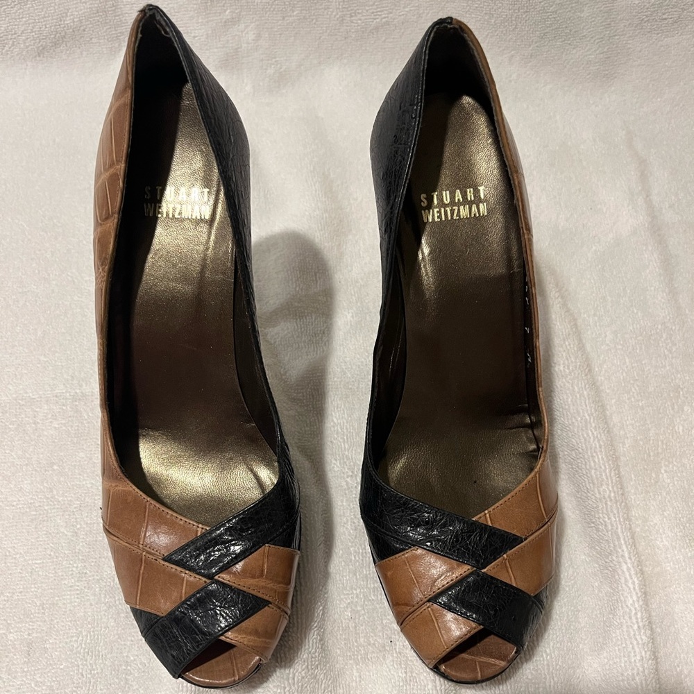 Pumps